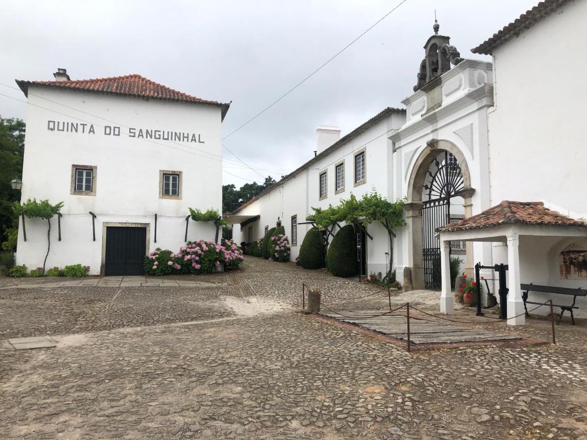 Terra Luso Proche De Montejunto Panzió Cadaval Kültér fotó