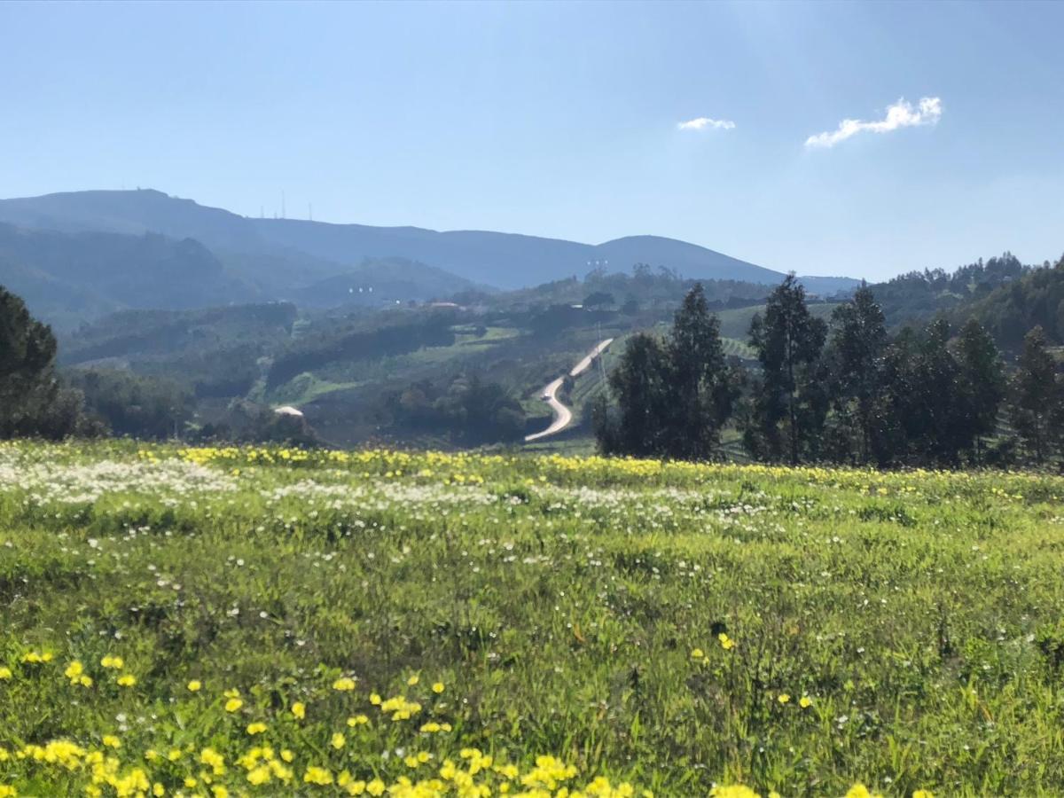 Terra Luso Proche De Montejunto Panzió Cadaval Kültér fotó